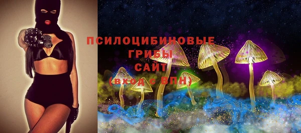 spice Лиски