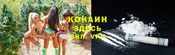 spice Лиски