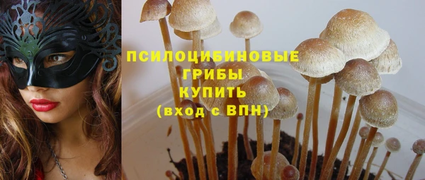 меф Майский